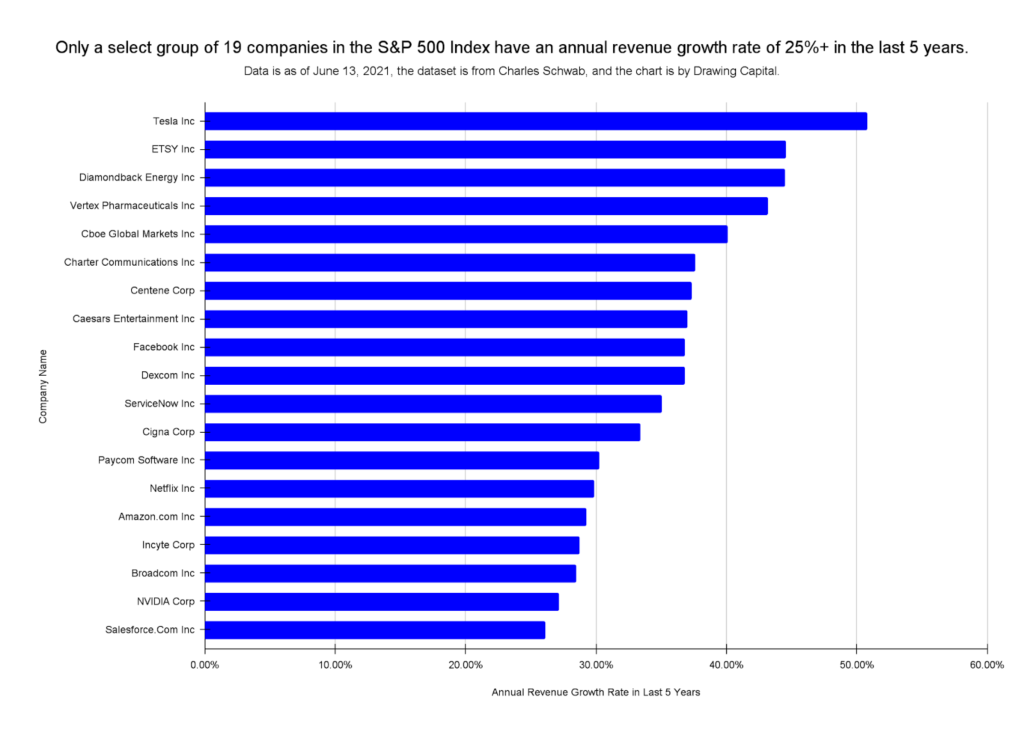 companies in the SP 500 index